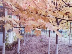 -辽宁大学(崇山校区)