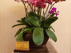 -钓鱼台国宾馆