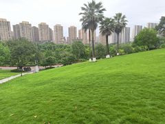 -龙头寺公园