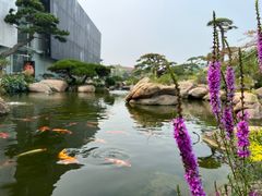 -罗红摄影艺术馆