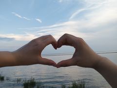 -合肥滨湖国家森林公园