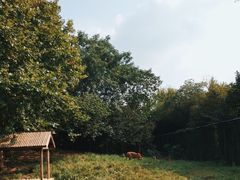 -扬州市茱萸湾风景区