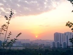 -聚龙山公园