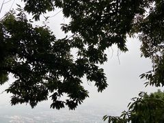 -八大处公园