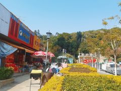 -仙岳公园