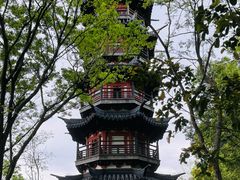 -上海佘山国家森林公园西佘山园