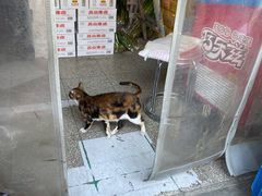 -萌兽医馆·犬猫专科·眼科中心·宠物医院(朝阳门分院)