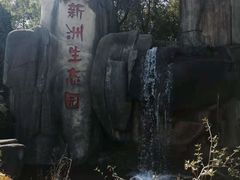 -新洲生态园