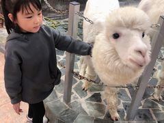 -上海大自然野生昆虫馆(东方明珠·爬宠昆虫探索中心)