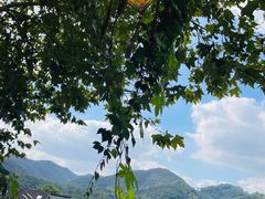 -马灯部落·西湖边的创意山景餐厅(虎跑动物园店)