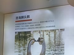 -陆记鹅庄·潮汕菜·狮头鹅(大仟里店)