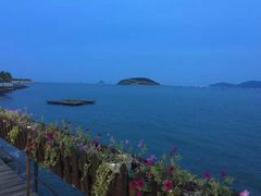 -芽庄喜来登水疗酒店