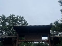 -阳台山自然风景区