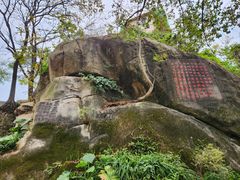 -乌山风景区