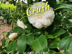 -宝岩生态观光园