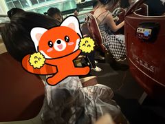-Big Bus Tours 敞篷观光巴士