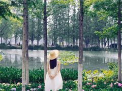 -金银湖国家城市湿地公园