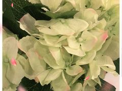 -苏浙汇(古北店)