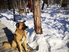 -北极村旅游风景区