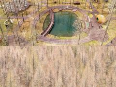 -黄海国家森林公园