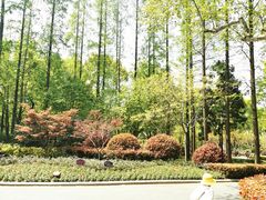 -徐家汇源景区-衡山公园