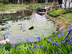 -石湖景区