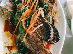 -四姑娘川味海鲜(八爪鱼店)