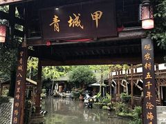 -青城甲(青城山店)