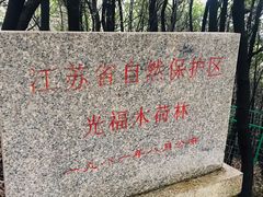 -香雪海