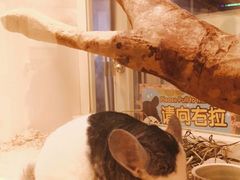 -龙猫仔乐园(惠福东路店)