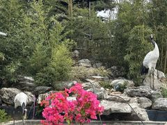 -丽泽山庄·生态怀柔菜·虹鳟鱼(红螺寺店)