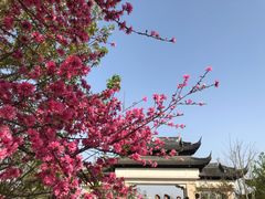 -苏州上方山国家森林公园