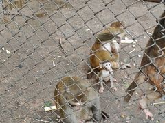 -长白岛森林公园