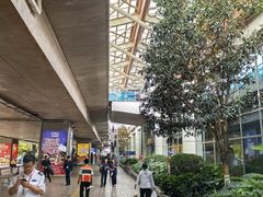 -丽江三义国际机场