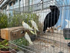 -姥家大锅台水库渔家