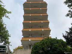 -鹅岭公园瞰胜楼