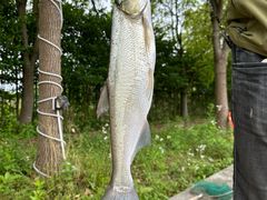 -新怡路亚垂钓园