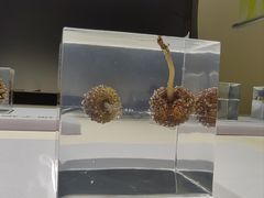 -中国湿地博物馆