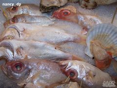 -岷山饭店-芝芝自助餐厅