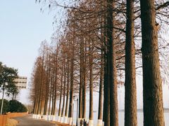 -太阳岛度假酒店