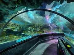 -上海海洋水族馆