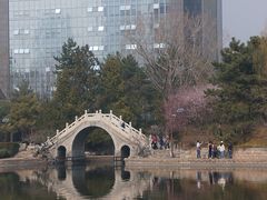 -团结湖公园