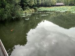 -八卦田遗址公园