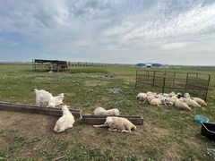 -呼和诺尔旅游景区