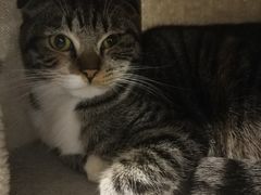 -平行世界·猫咖(首经贸店)