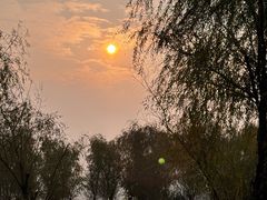 -艾溪湖湿地公园