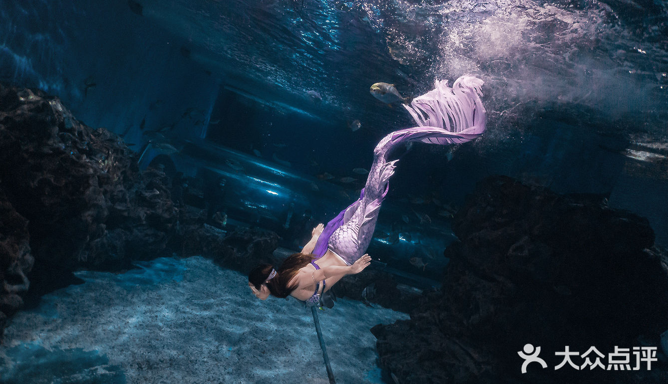 教学日常｜当肚皮舞遇到美人鱼🧜🏻‍♀️