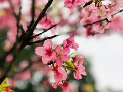 -湖滨客舍·湖北菜