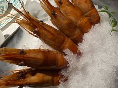 -桂满陇·海市蜃楼·黑金(国金店)