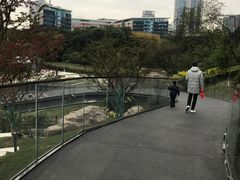 -百林公园-两江幸福广场